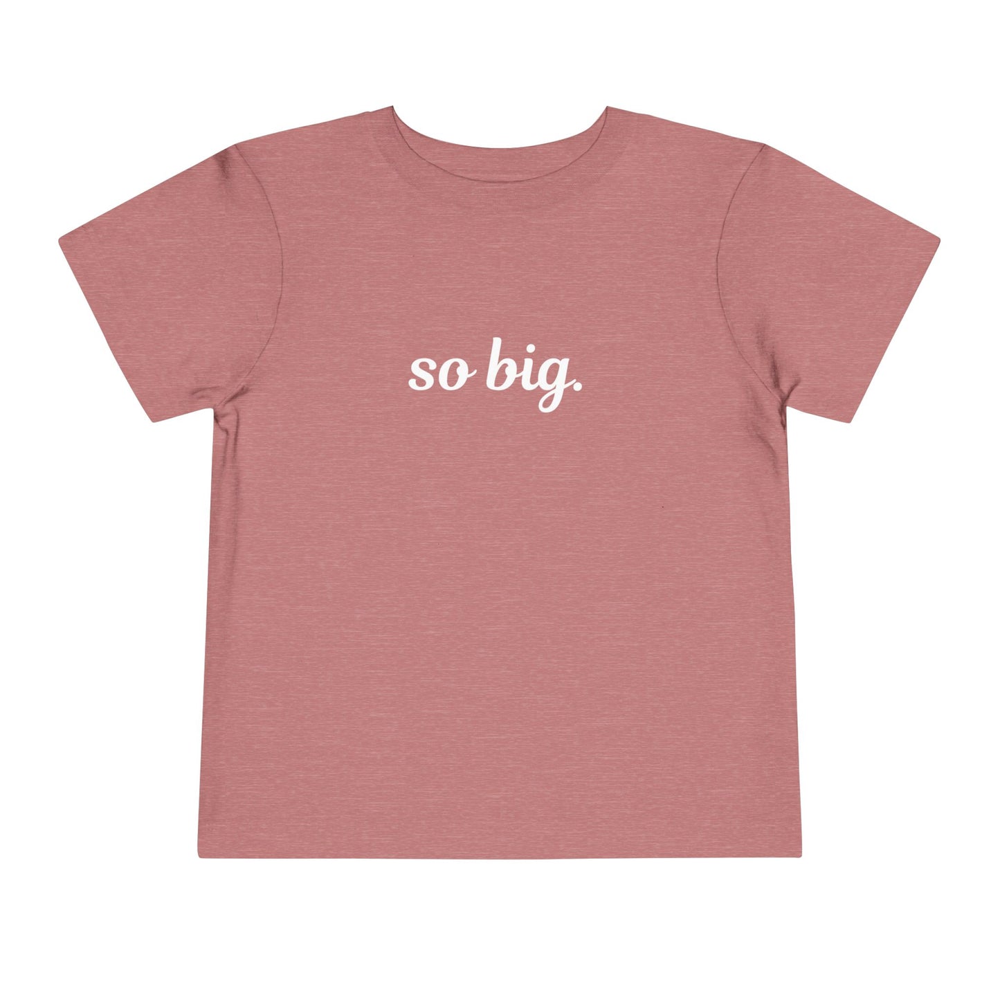 "So big" Toddler Tee