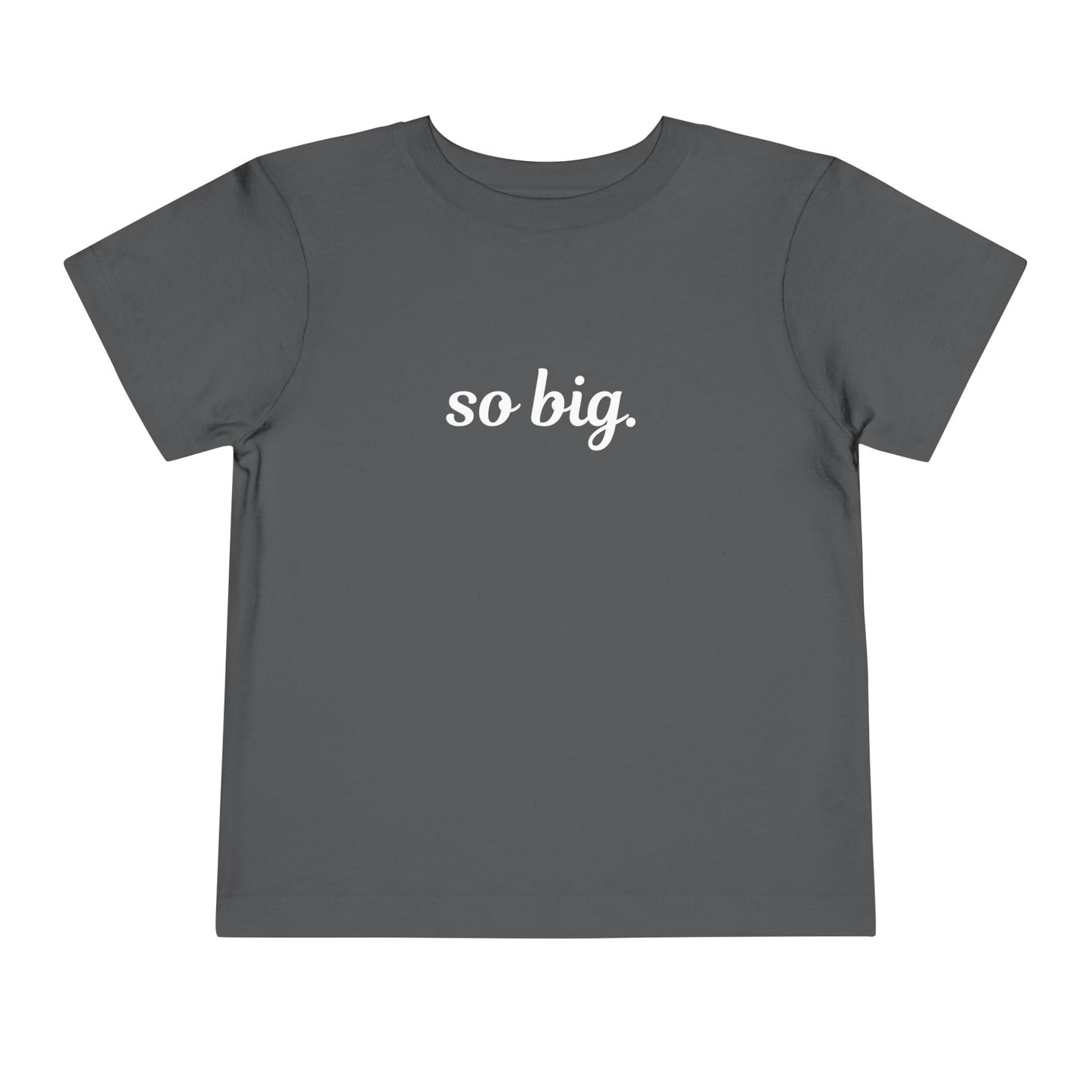 "So big" Toddler Tee