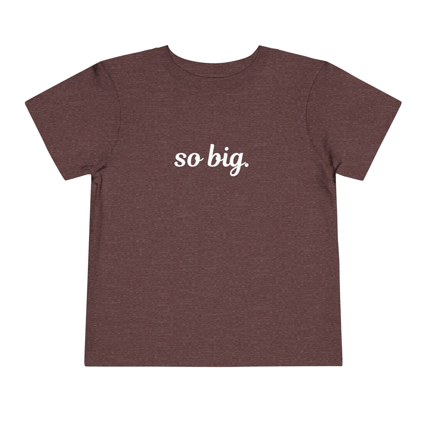 "So big" Toddler Tee