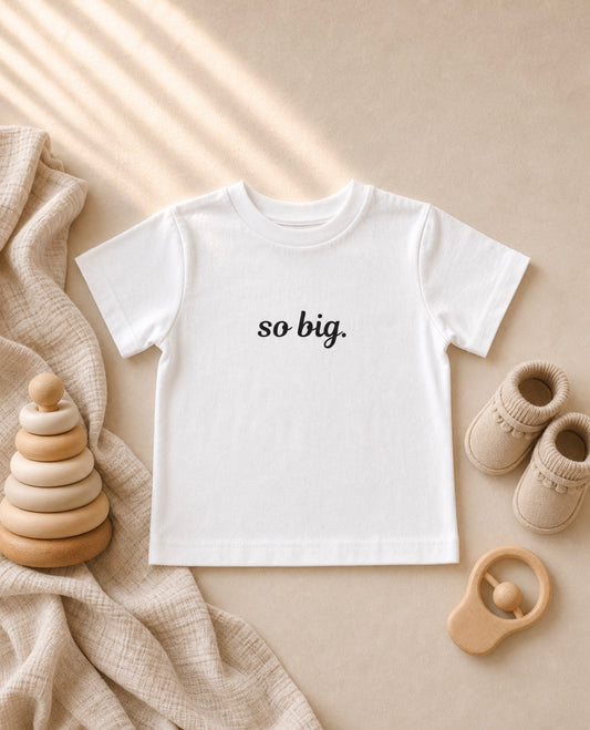 "So big" Toddler Tee