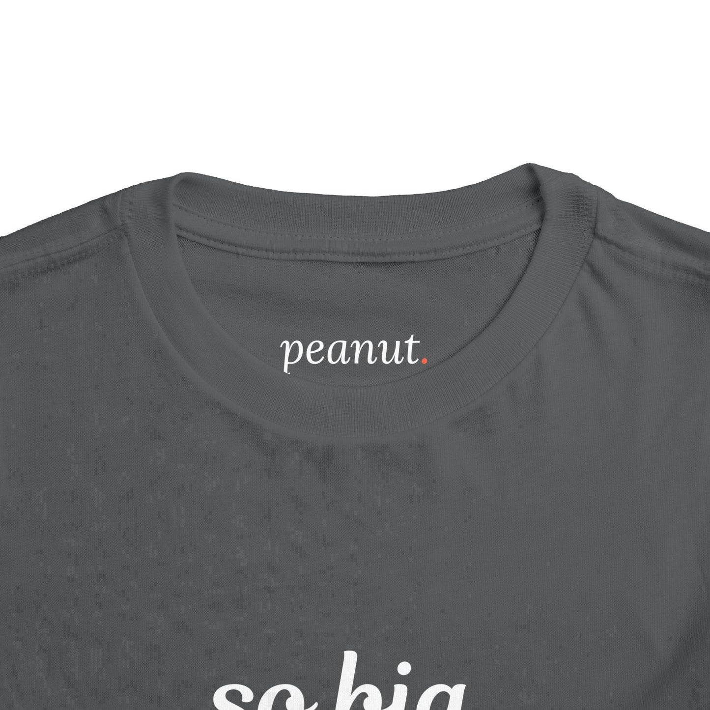 So Big Toddler Tee